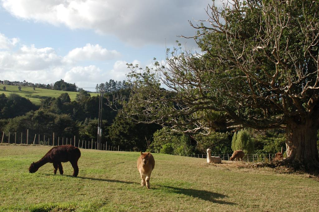 Kohinui Glade Holiday Cottage Parua Bay Exterior photo