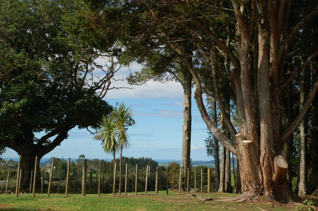 Kohinui Glade Holiday Cottage Parua Bay Exterior photo